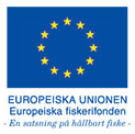 EU Logotype